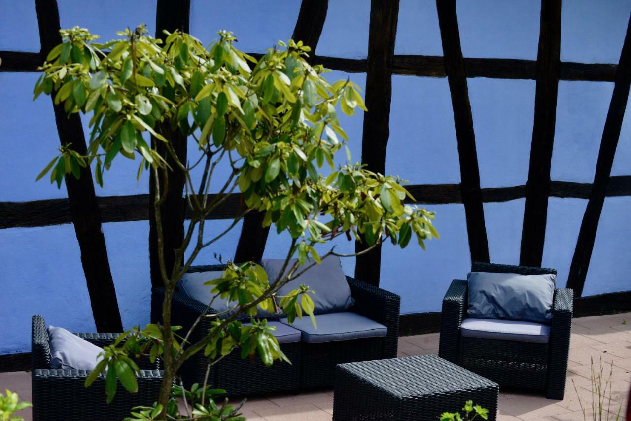 Le Clos Bleu - Gite Rural Schillersdorf Exterior foto